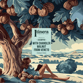Itinera Champù Color Brillante (370 ml)